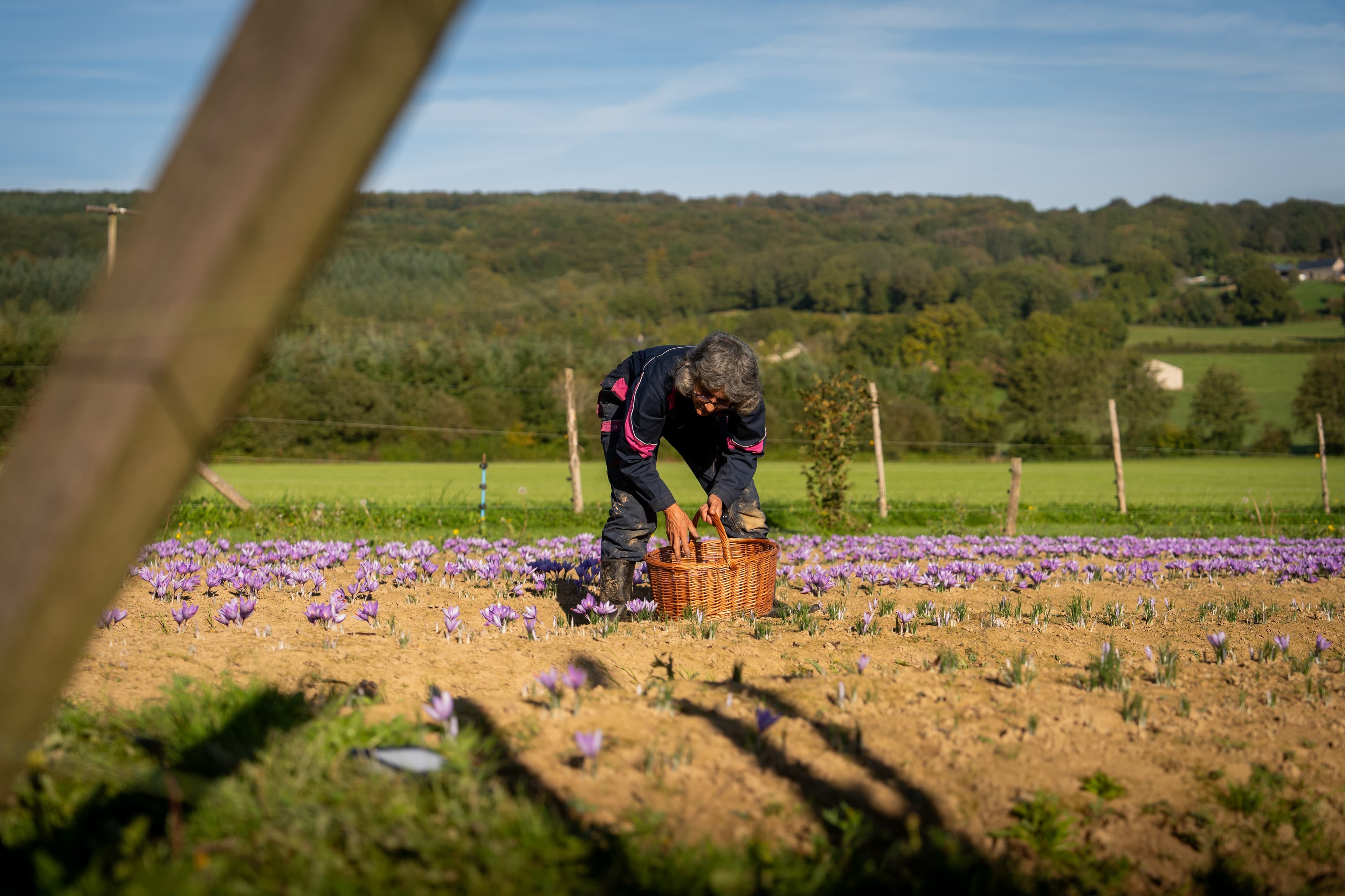 Photo produit & marque — Photo 6