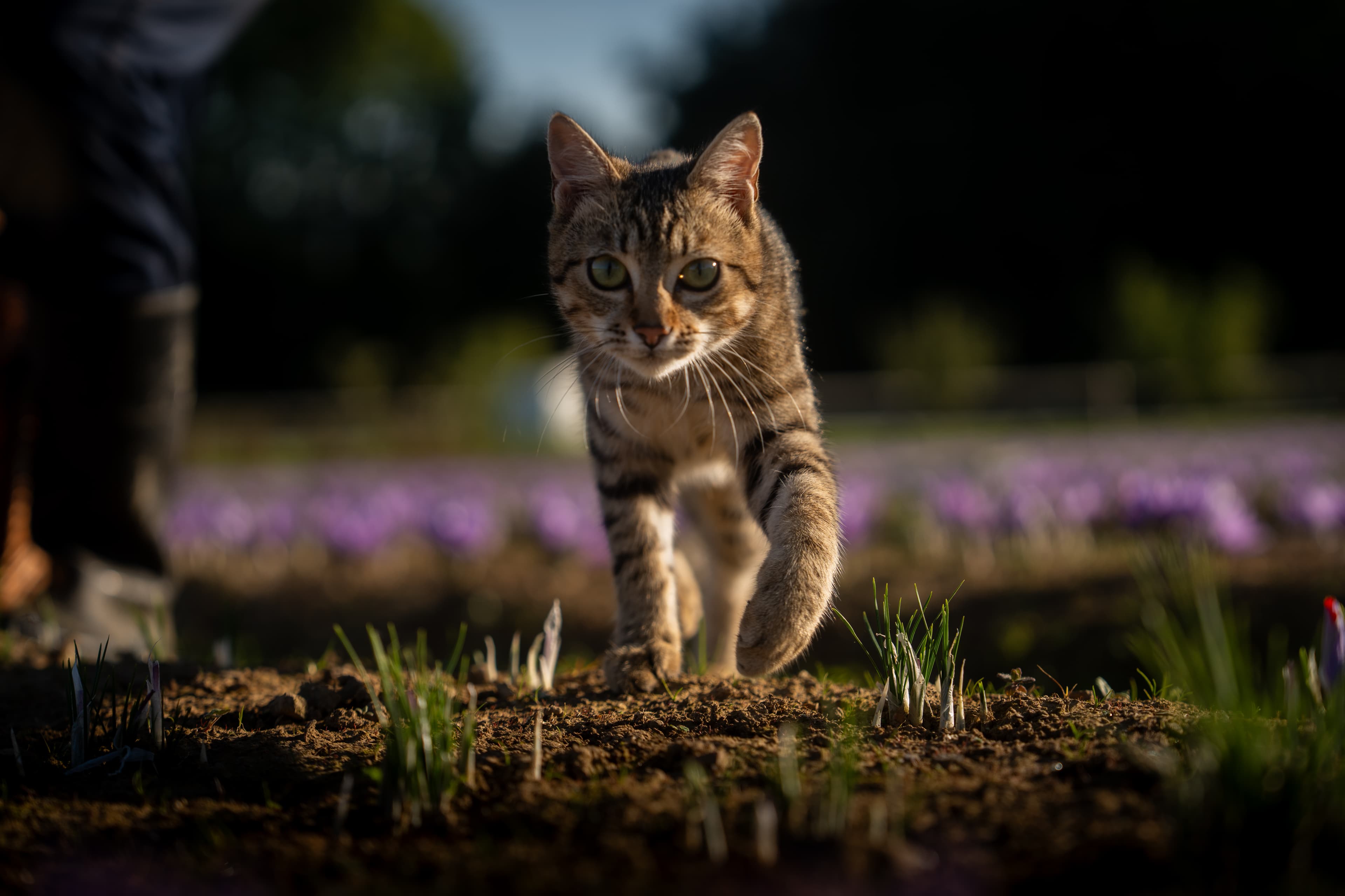 Photo produit & marque — Photo 8