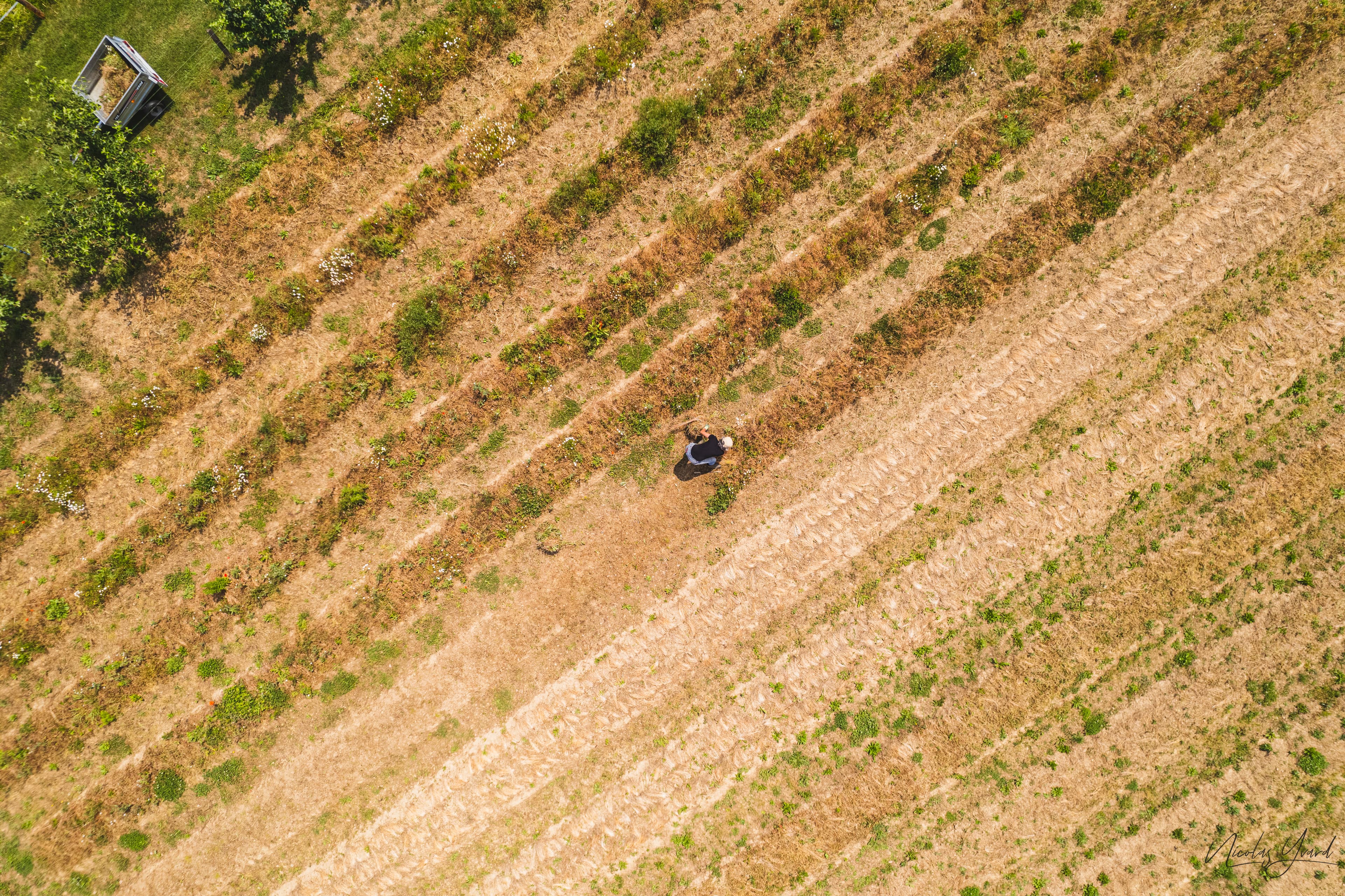 Photo produit & marque — Photo 2