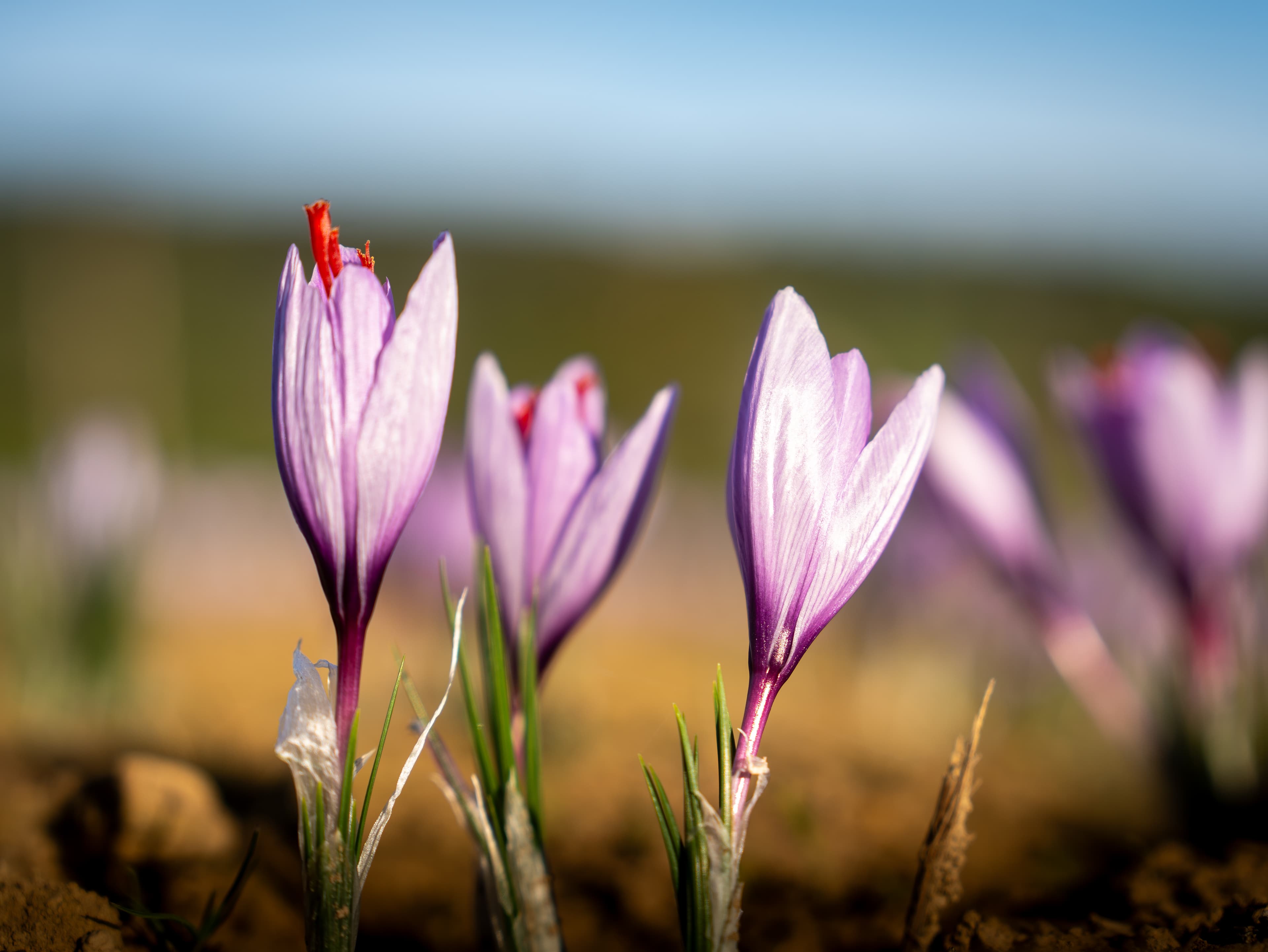 Photo produit & marque — Photo 3