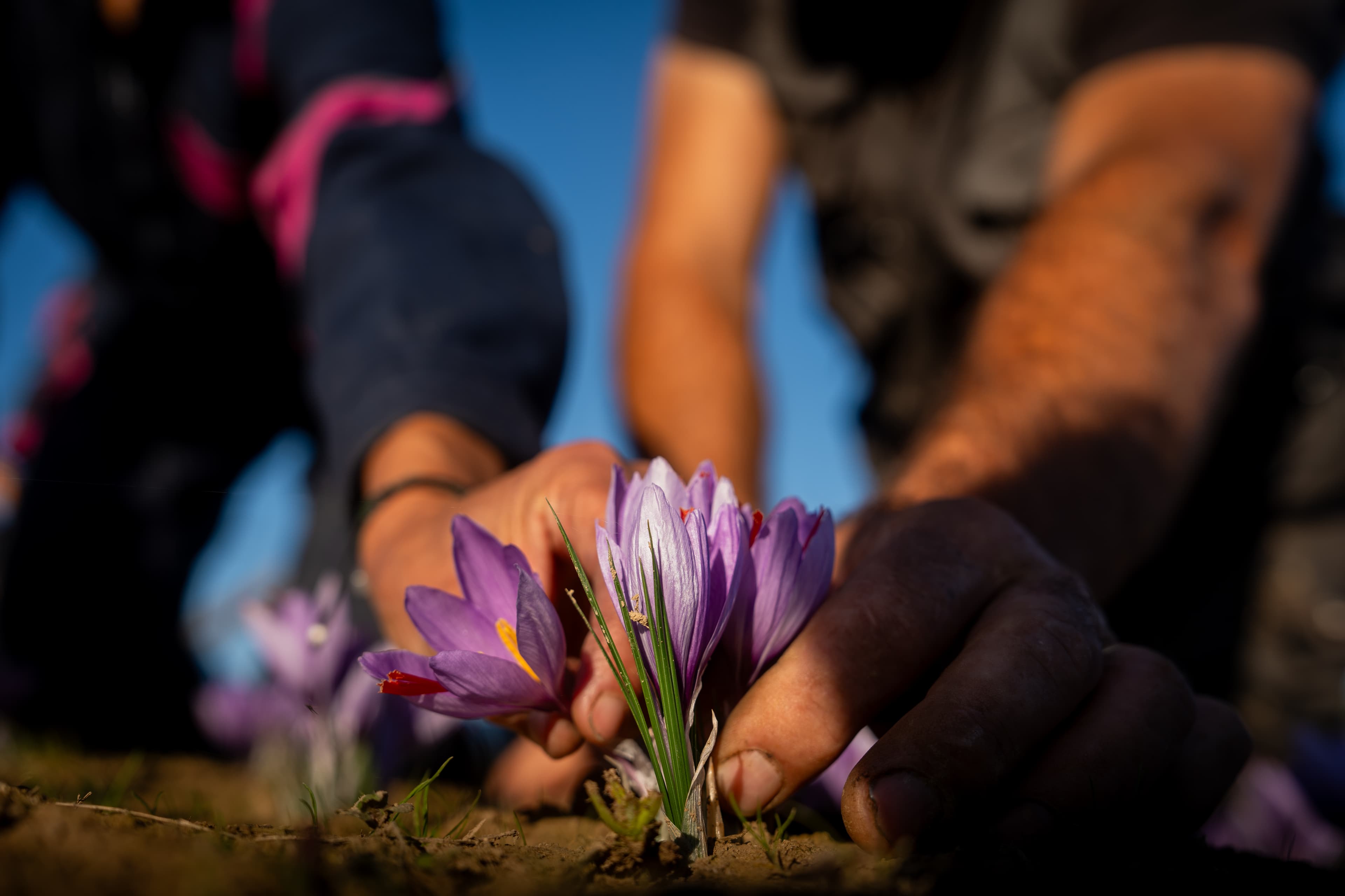 Photo produit & marque — Photo 4