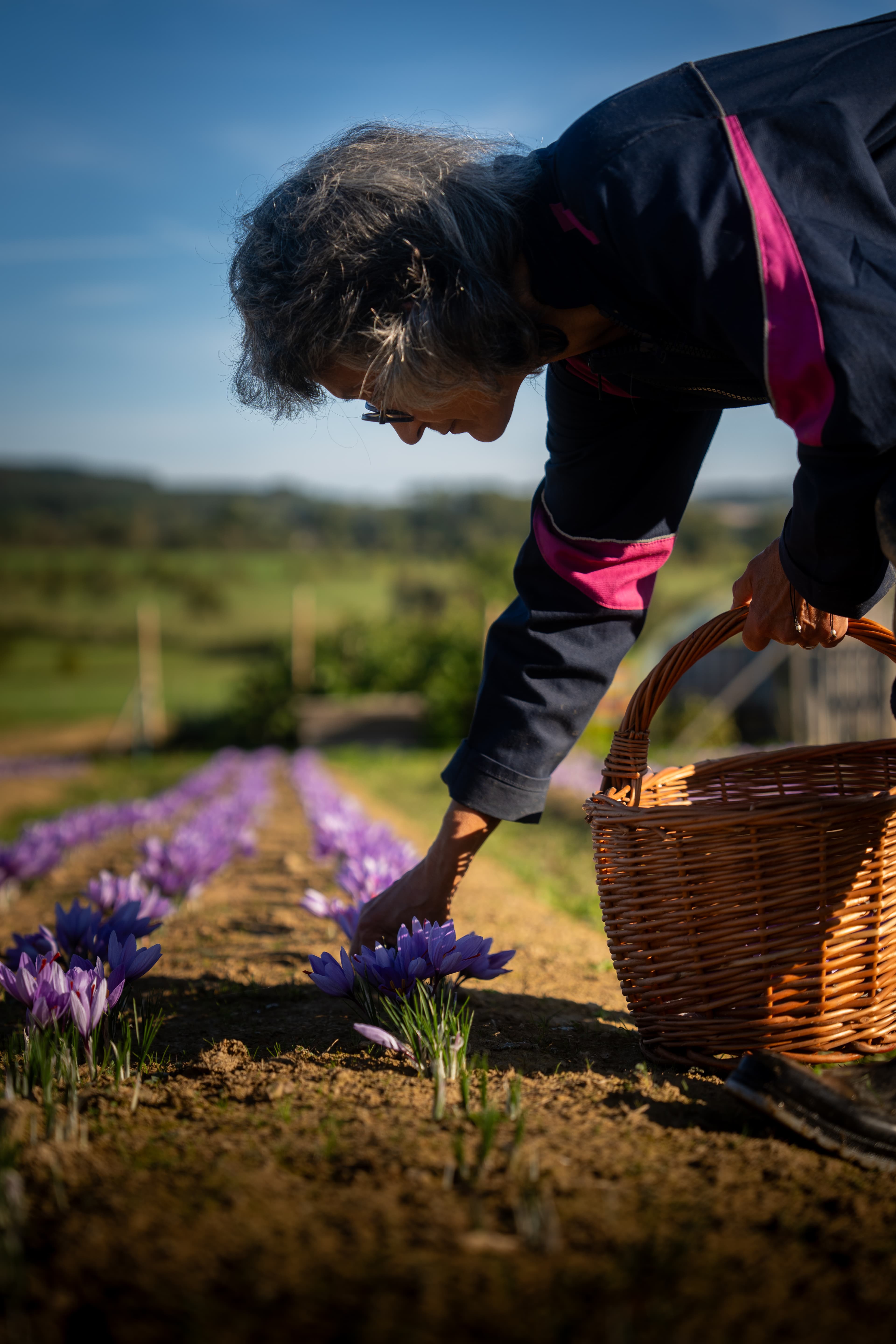 Photo produit & marque — Photo 5
